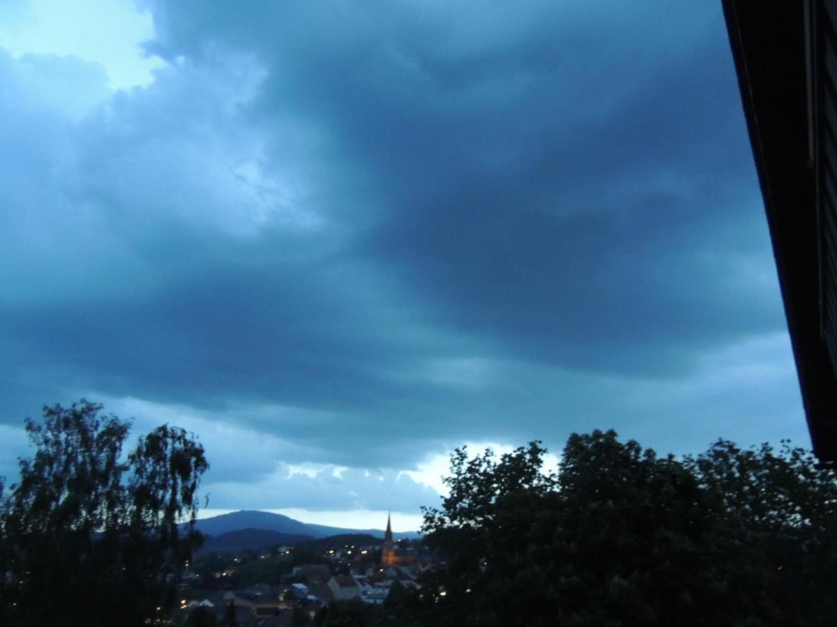 Fw Zauberblick Daire Zwiesel Dış mekan fotoğraf