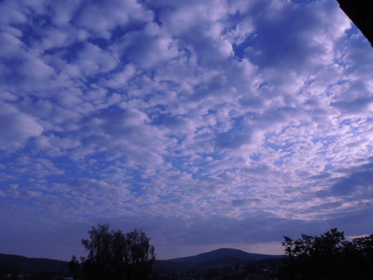 Fw Zauberblick Daire Zwiesel Dış mekan fotoğraf